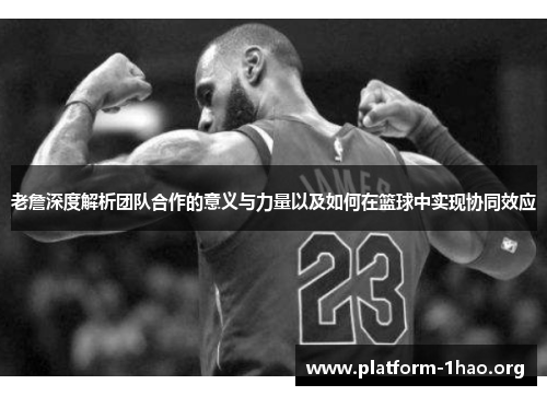 老詹深度解析团队合作的意义与力量以及如何在篮球中实现协同效应
