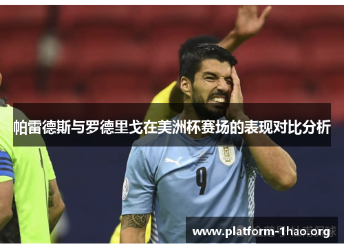 帕雷德斯与罗德里戈在美洲杯赛场的表现对比分析