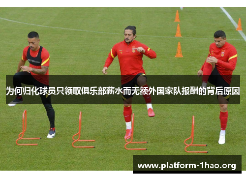 为何归化球员只领取俱乐部薪水而无额外国家队报酬的背后原因