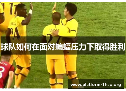 球队如何在面对蝙蝠压力下取得胜利