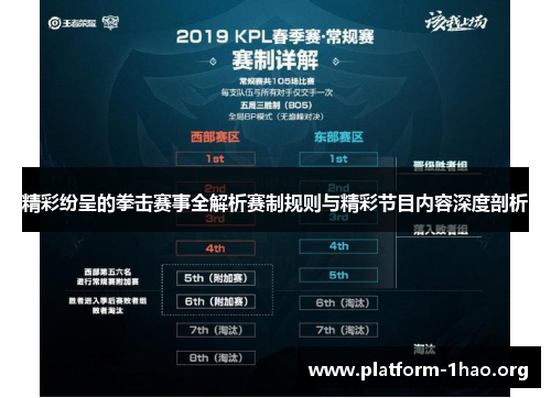 精彩纷呈的拳击赛事全解析赛制规则与精彩节目内容深度剖析