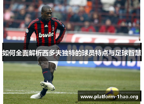 如何全面解析西多夫独特的球员特点与足球智慧 如何全面解析西多夫独特的球员特点与足球智慧