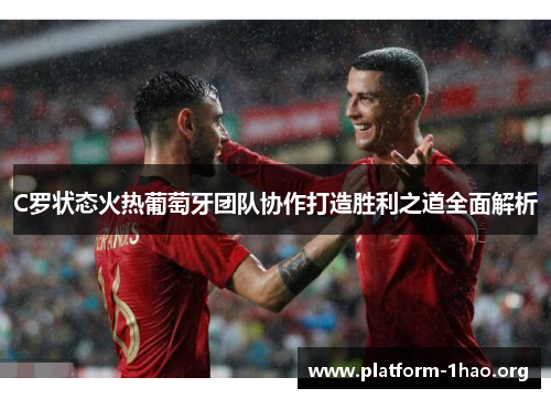 C罗状态火热葡萄牙团队协作打造胜利之道全面解析 C罗状态火热葡萄牙团队协作打造胜利之道全面解析